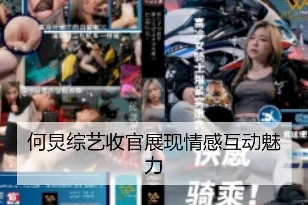何炅综艺收官展现情感互动魅力